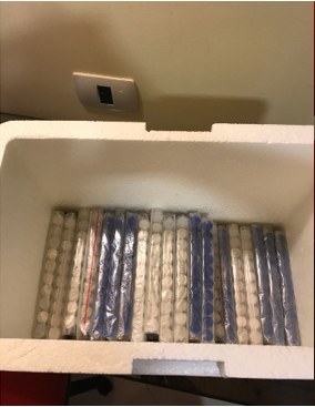 PF COMBATE IMPORTAÇÃO ILEGAL DE MEDICAMENTOS (1).jpg