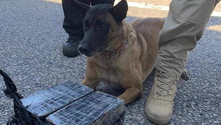 PF - DIVULGAÇÃO (2).jpg