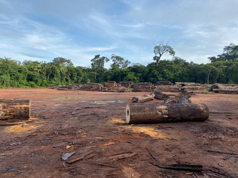 operação deforest 6.jpg