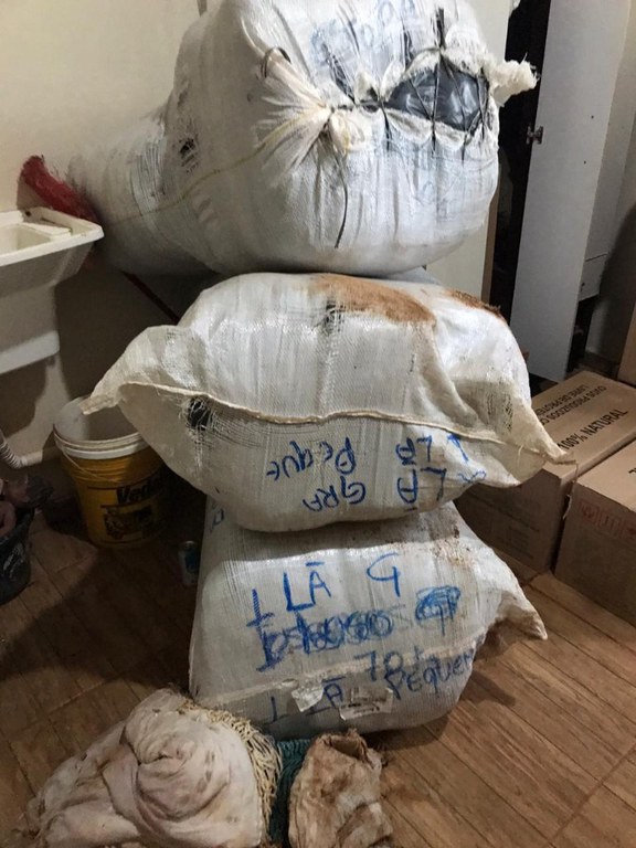 apreensão alimentos foz.jpg