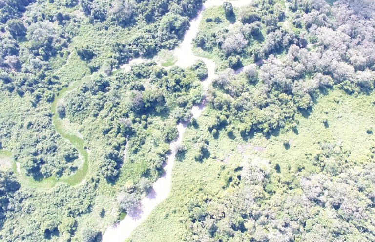 mato grosso operação alfeu 2.jpg