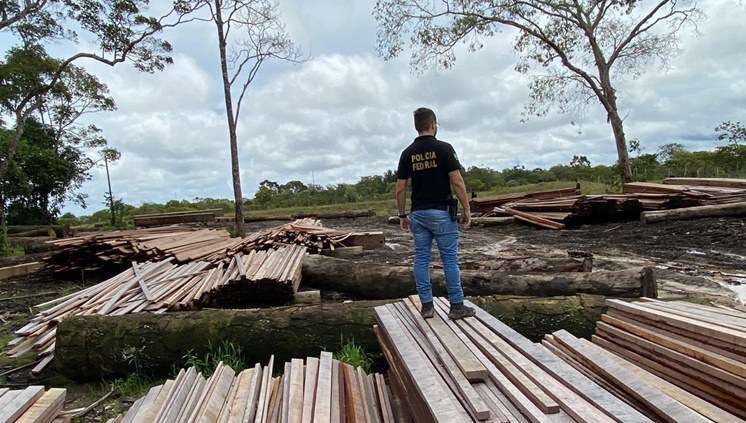 Imagem 08 Flagrante Tartarugalzinho.jpeg