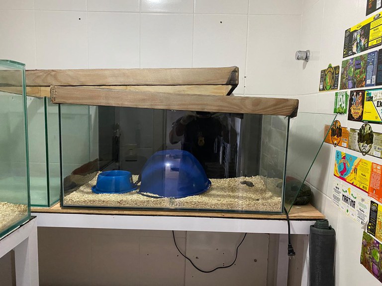 Operação Rattus SE 4.jpg