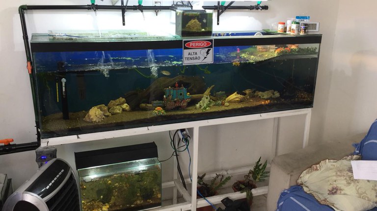 Operação Rattus SE.jpg