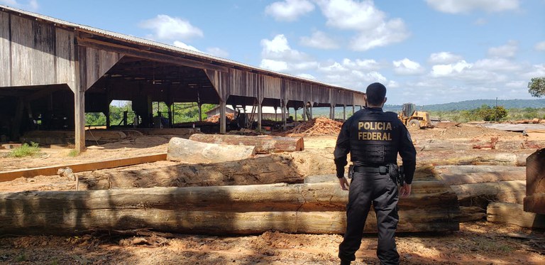 Imagem 06 Usurpação.jpeg