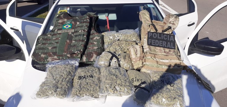 apreensão skunk chuí rs.jpg