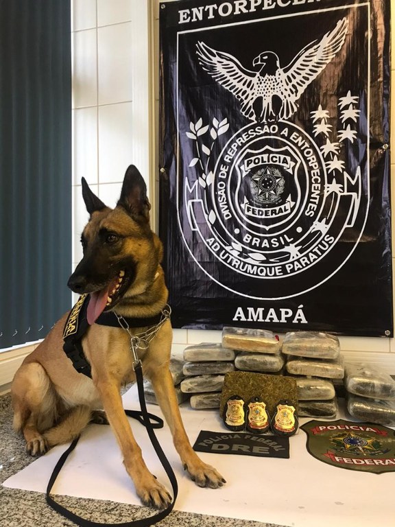 Imagem flagrante Skank 02.jpeg