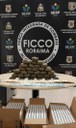 apreensão drogas RR.jpg