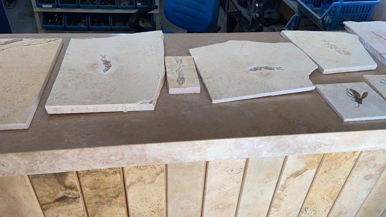 Operação Santana Raptor CE 2.jpg