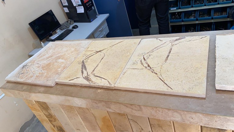 Operação Santana Raptor CE 4.jpg