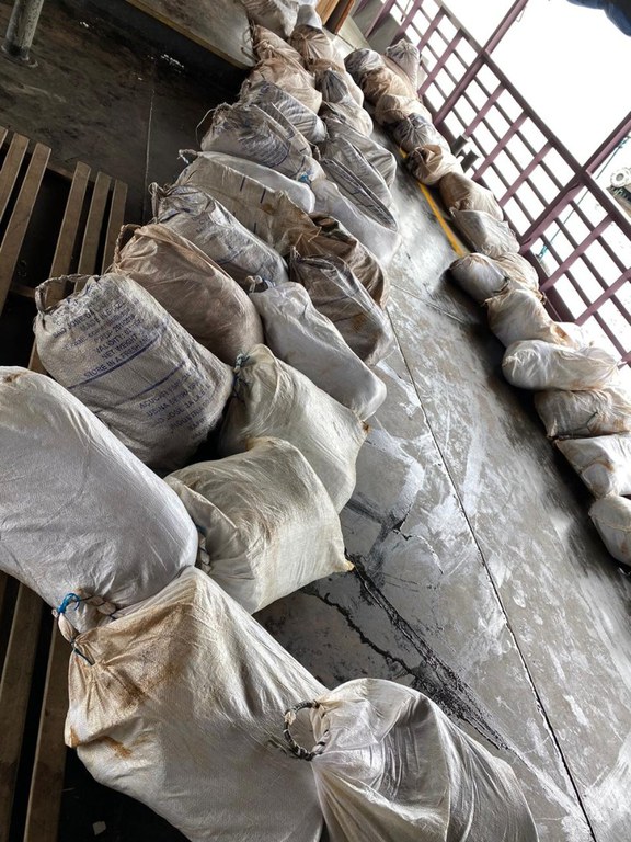 apreensão peixes AM 2.jfif