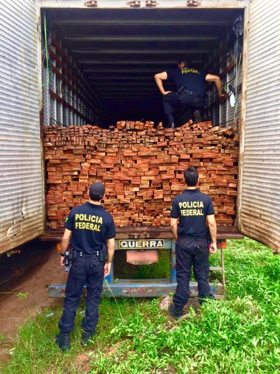 Carregamento madeira.jpeg