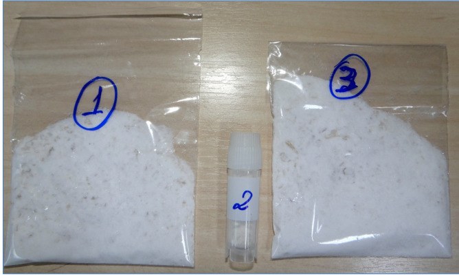 Operação Escobart MS 2.jfif