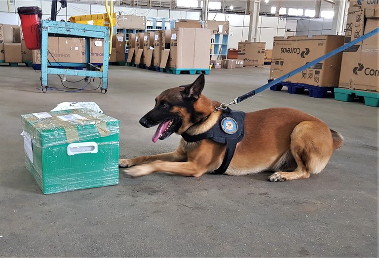 Operação Malinois AC 2.jfif