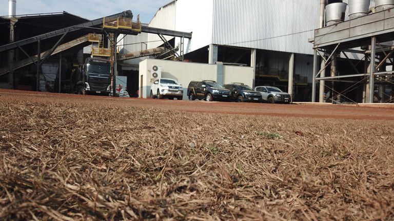 incineração de drogas MS.jfif