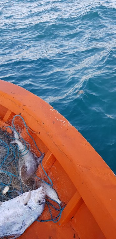 Operação Mexilhão 4 RJ 4.jpg