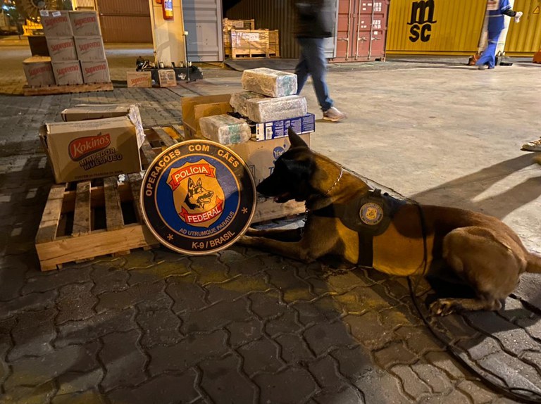 apreensão droga rio recorde.jfif