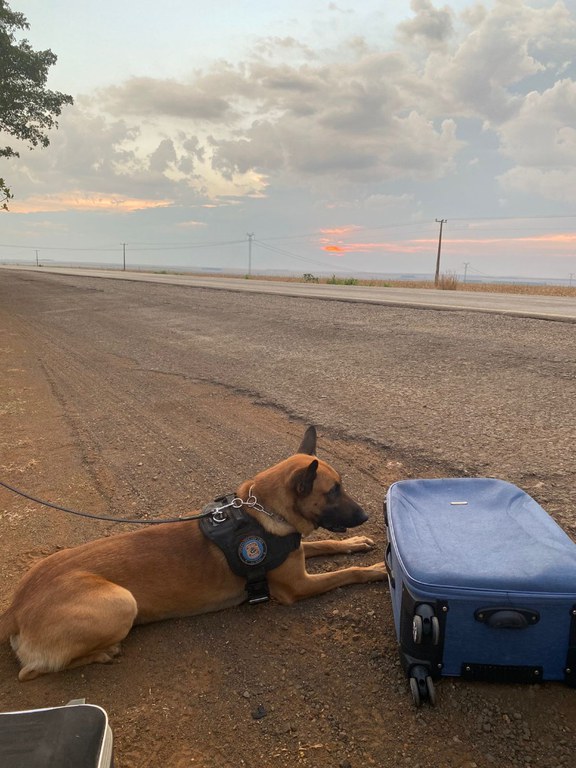 apreensão drogas MT.jpg