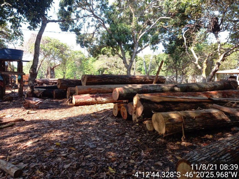 Operação contra desmatamento ma 2.jpg