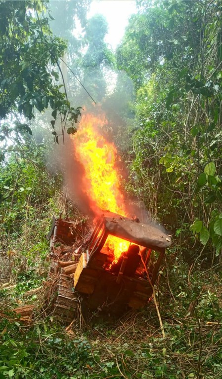Operação contra desmatamento ma.jpg