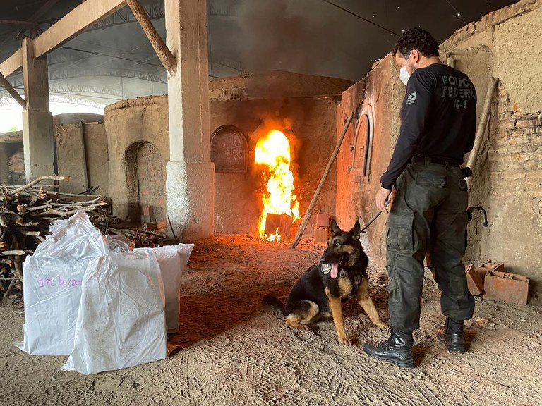 incineração de drogas CE 5.jpg