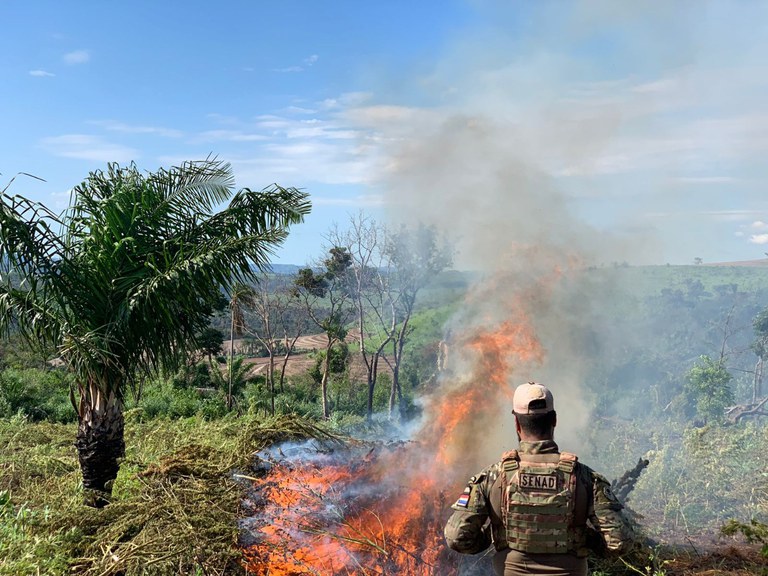 Operação paraguai 12.jpg