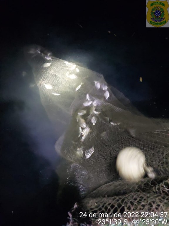 pesca ilegal rj 2.jfif