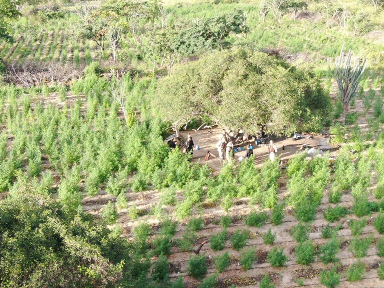 Operação Juazeiro BA.jpg