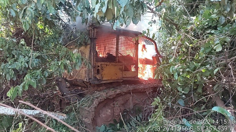 madeira ilegal PA 3.jpg