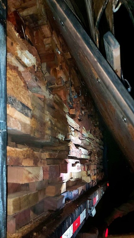 madeira ilegal PA.jpg