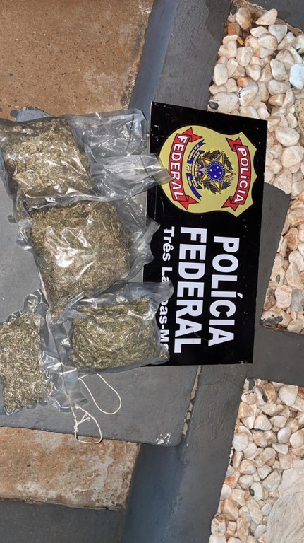 maconha apreendida ms 4.jpg