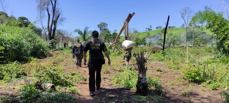 WhatsApp Image 2022-04-20 at 16.38.07.jpeg