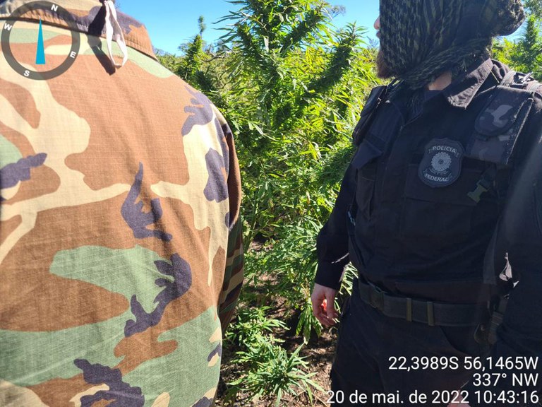 Nova Aliança 03.jpeg