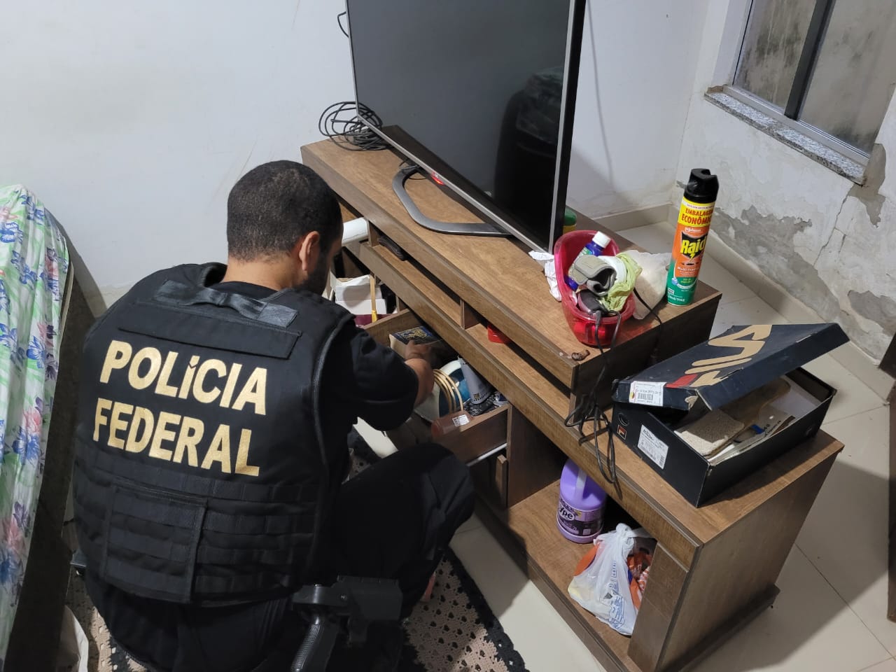 Crime cibernético: Discord realiza treinamento para autoridades policiais  do Brasil