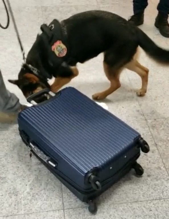 WhatsApp Image 2022-09-22 at 09.26.20.jpeg