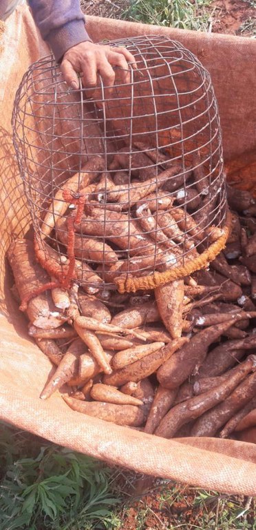 WhatsApp Image 2022-09-12 at 12.56.26.jpeg