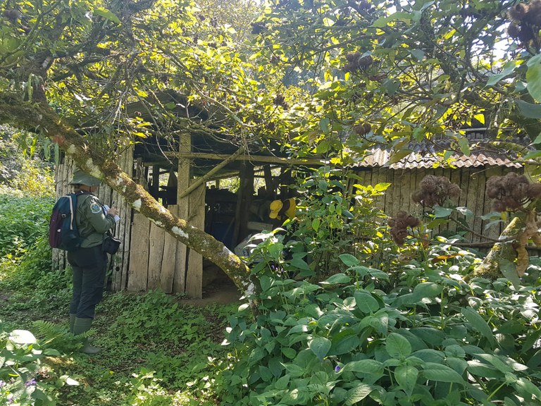 9cf8feb2-1b28-4ee8-887a-fb05c62aa1d3.jfif