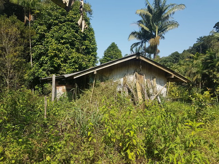 a5cc71bd-32d2-4a77-9926-121e5e0f2f91.jfif