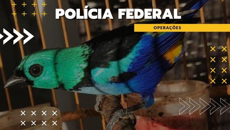 c0157f41-a361-40a1-9d19-d852dfd155ba - Copia.jpg