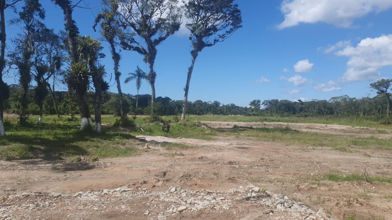 WhatsApp Image 2022-10-26 at 12.18.48.jpeg