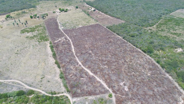 WhatsApp Image 2022-10-11 at 11.08.38.jpeg