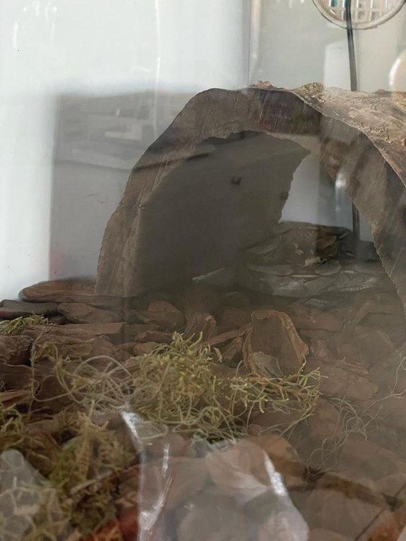 WhatsApp Image 2022-11-25 at 09.56.30 (1).jpeg