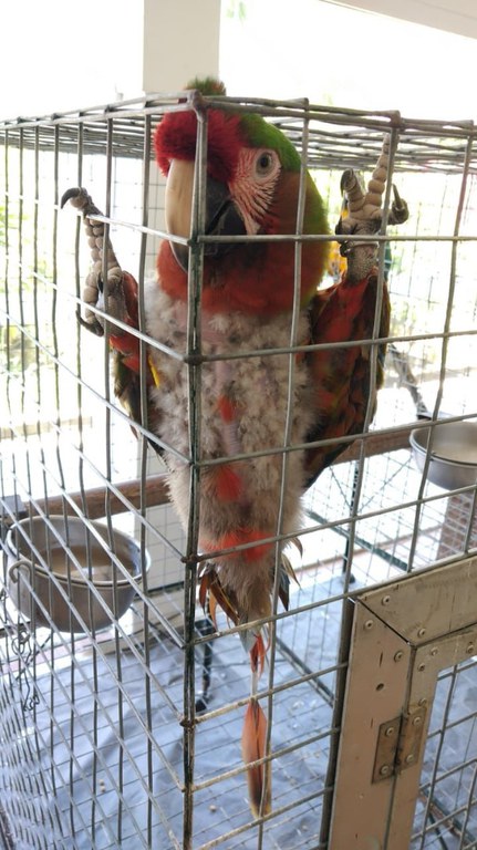 WhatsApp Image 2022-11-21 at 14.47.56.jpeg