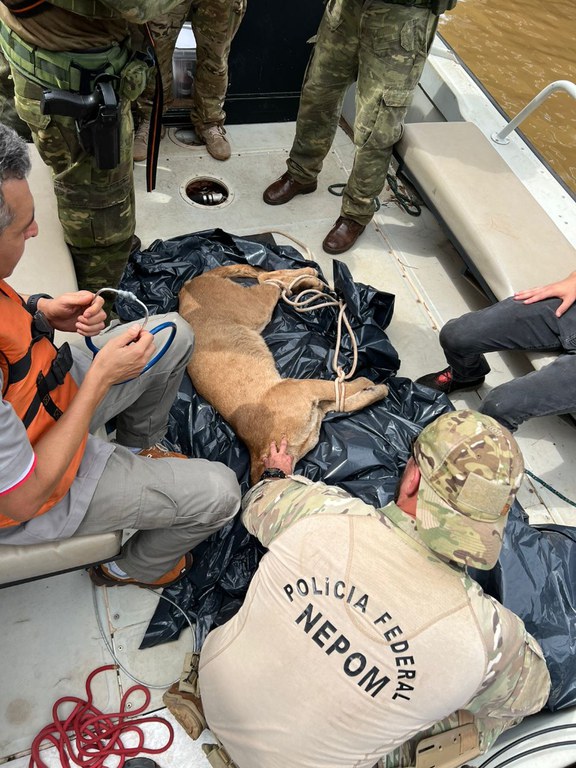 WhatsApp Image 2022-11-23 at 08.05.10.jpeg