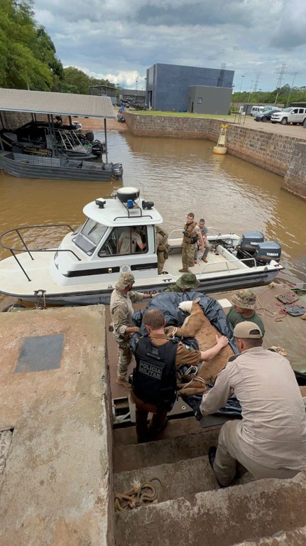 WhatsApp Image 2022-11-23 at 08.05.11.jpeg