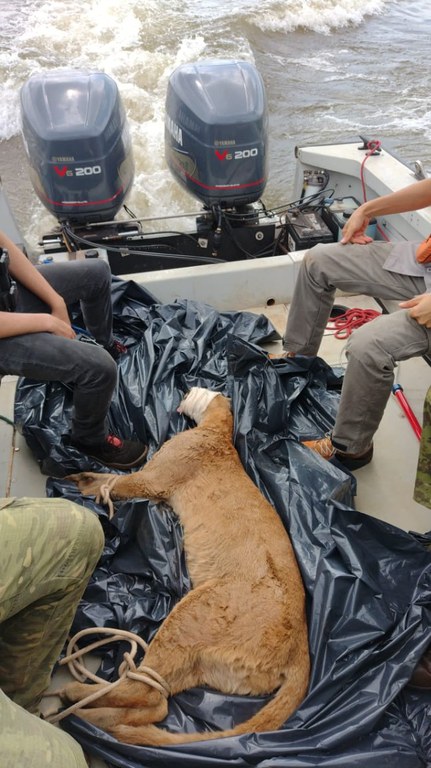 WhatsApp Image 2022-11-23 at 08.05.14 (1).jpeg