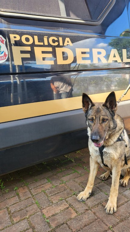 WhatsApp Image 2022-11-11 at 18.10.45 (2).jpeg