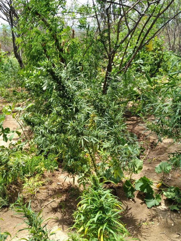 WhatsApp Image 2022-11-29 at 18.21.49.jpeg