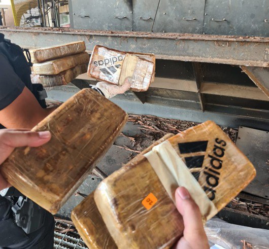 WhatsApp Image 2023-01-19 at 15.58.03 (1).jpeg