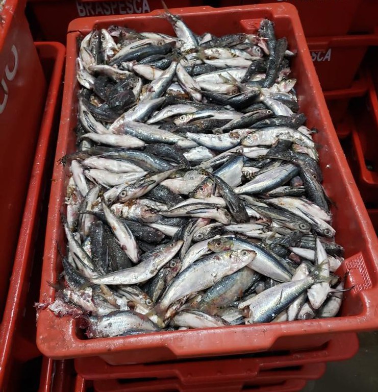 WhatsApp Image 2023-02-09 at 16.01.19.jpeg